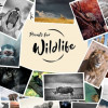 hahnemuehle Blogheader Prints for Wildlife Press Release